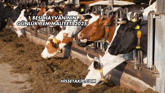 1 Besi Hayvanının Günlük Yem Maliyeti 2025