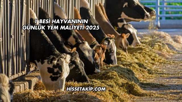 1 Besi Hayvanının Günlük Yem Maliyeti 2025