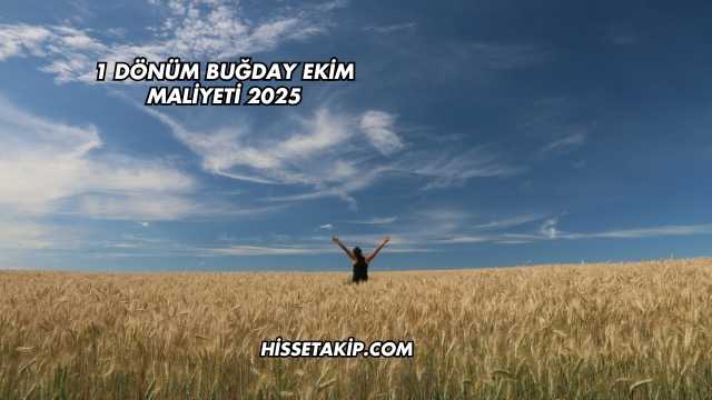 1 Dönüm Buğday Ekim Maliyeti 2025