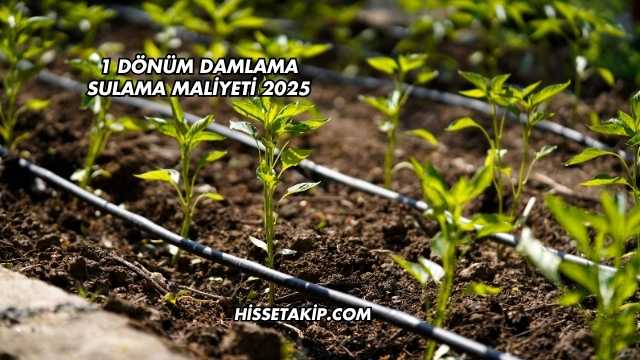 1 Dönüm Damlama Sulama Maliyeti 2025