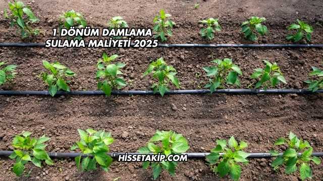 1 Dönüm Damlama Sulama Maliyeti 2025
