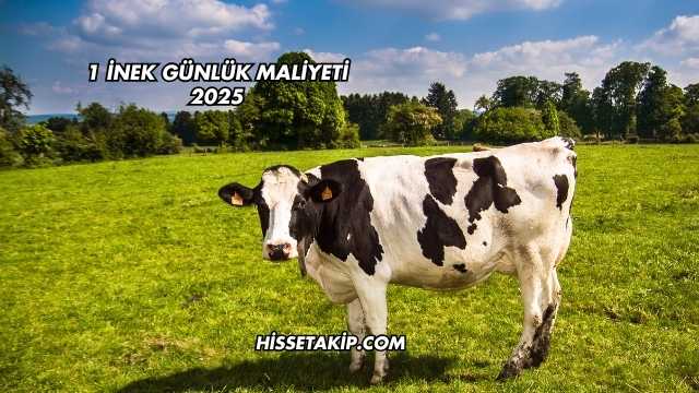 1 İnek Günlük Maliyeti 2025