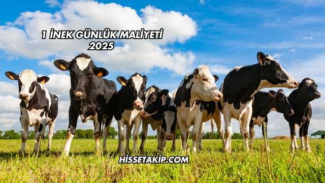 1 İnek Günlük Maliyeti 2025