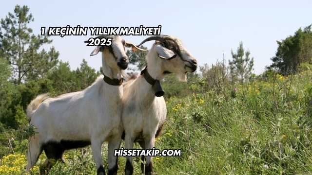 1 Keçinin Yıllık Maliyeti 2025
