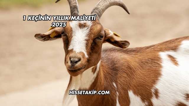 1 Keçinin Yıllık Maliyeti 2025