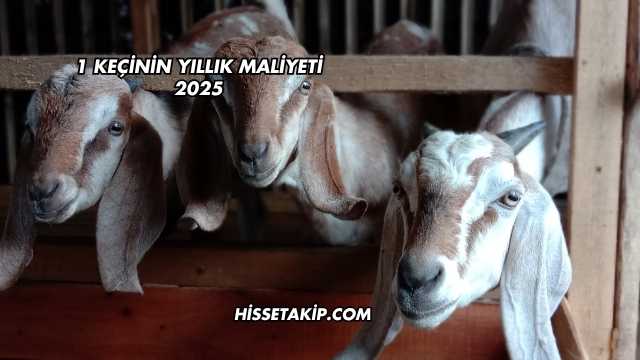 1 Keçinin Yıllık Maliyeti 2025
