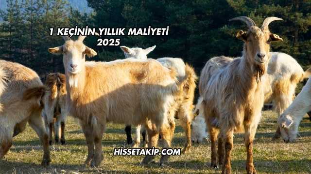 1 Keçinin Yıllık Maliyeti 2025