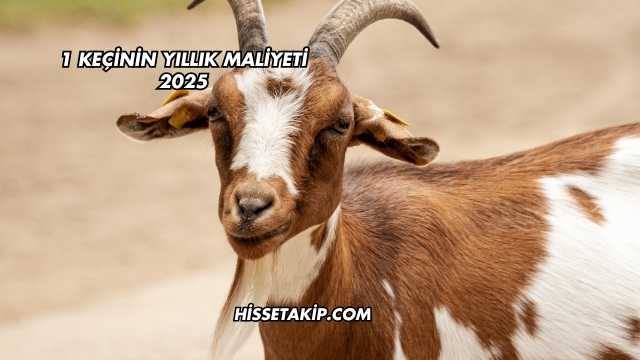 1 Keçinin Yıllık Maliyeti 2025