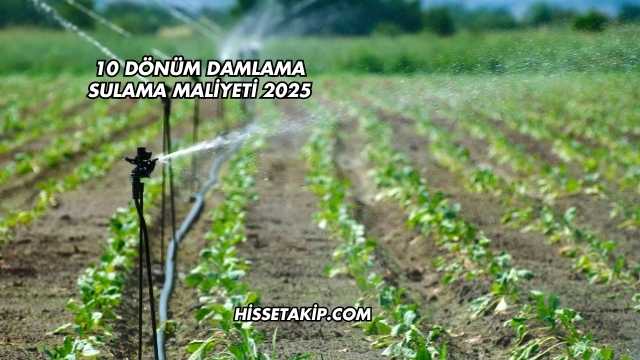 10 Dönüm Damlama Sulama Maliyeti 2025