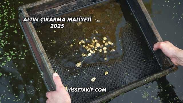 Altın Çıkarma Maliyeti 2025