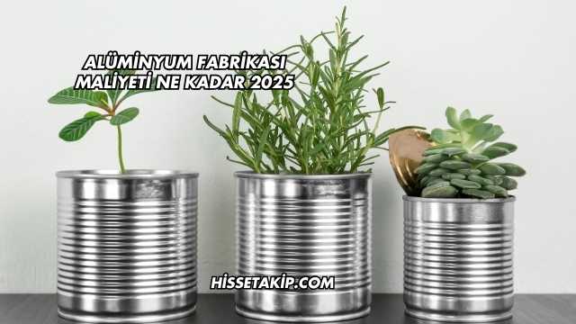 Alüminyum Fabrikası Maliyeti Ne Kadar 2025