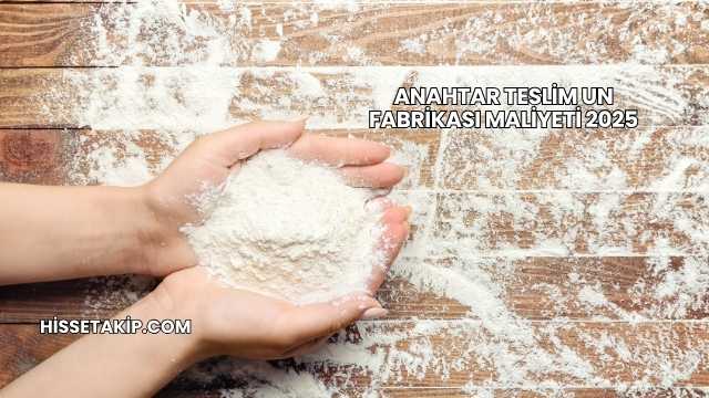 Anahtar Teslim Un Fabrikası Maliyeti 2025