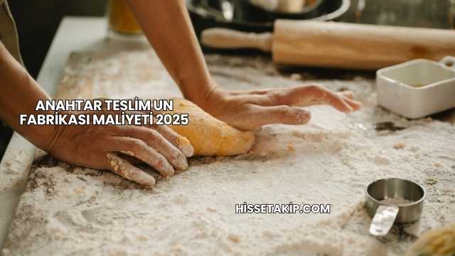 Anahtar Teslim Un Fabrikası Maliyeti 2025