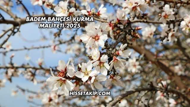 Badem Bahçesi Kurma Maliyeti 2025