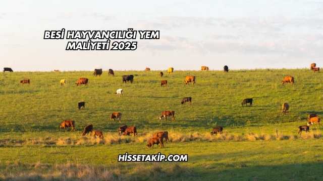 Besi Hayvancılığı Yem Maliyeti 2025