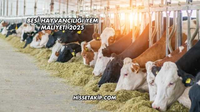 Besi Hayvancılığı Yem Maliyeti 2025