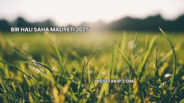 Bir Halı Saha Maliyeti 2025