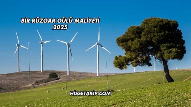 Bir Rüzgar Gülü Maliyeti 2025