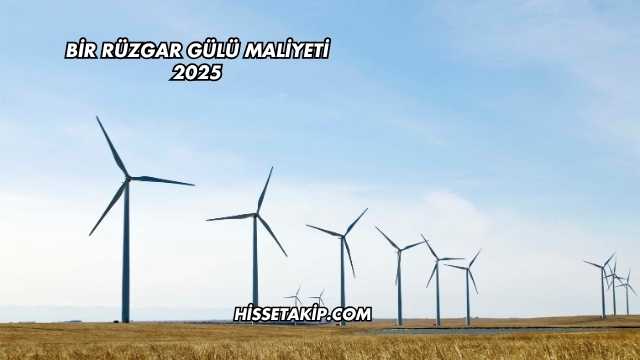 Bir Rüzgar Gülü Maliyeti 2025