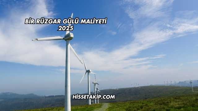 Bir Rüzgar Gülü Maliyeti 2025