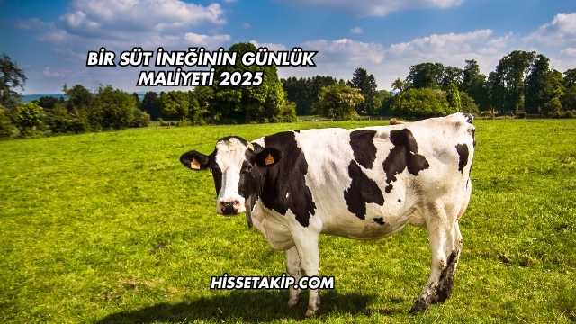 Bir Süt İneğinin Günlük Maliyeti 2025