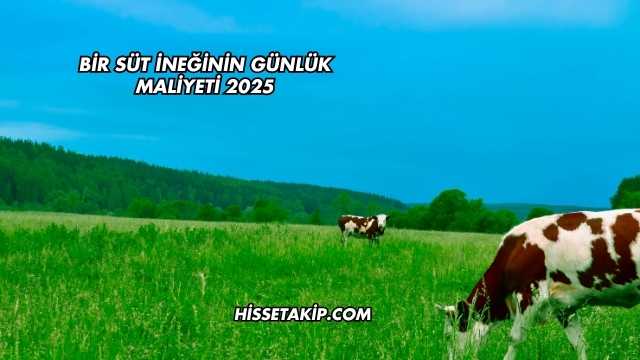 Bir Süt İneğinin Günlük Maliyeti 2025