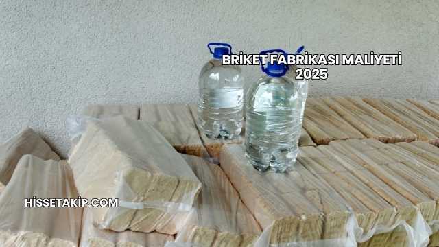 Briket Fabrikası Maliyeti 2025