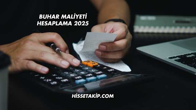 Buhar Maliyeti Hesaplama 2025