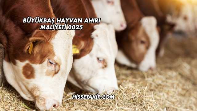 Büyükbaş Hayvan Ahırı Maliyeti 2025