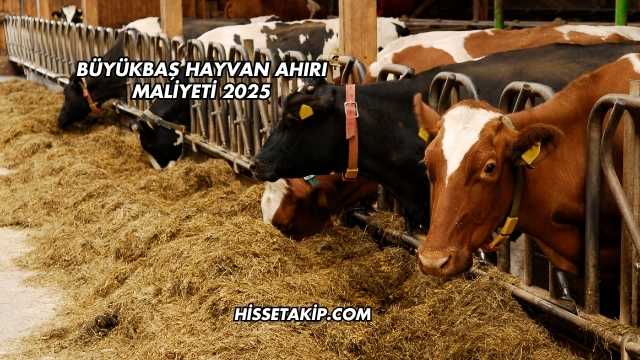 Büyükbaş Hayvan Ahırı Maliyeti 2025
