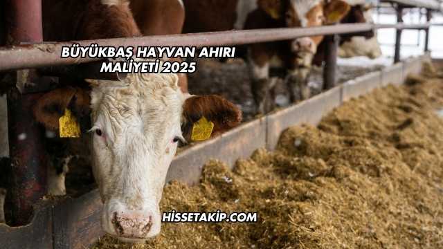 Büyükbaş Hayvan Ahırı Maliyeti 2025
