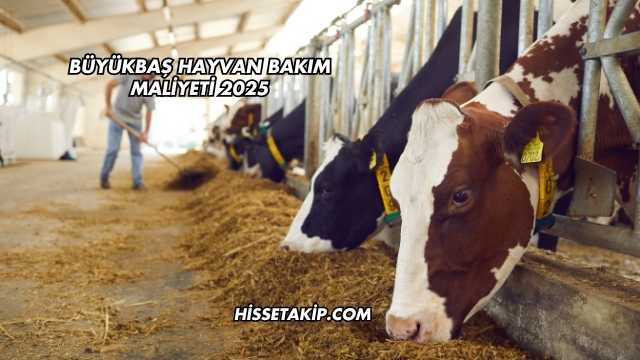 Büyükbaş Hayvan Bakım Maliyeti 2025
