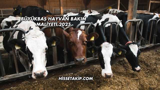 Büyükbaş Hayvan Bakım Maliyeti 2025