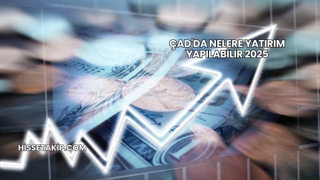 Çad'da Nelere Yatırım Yapılabilir 2025