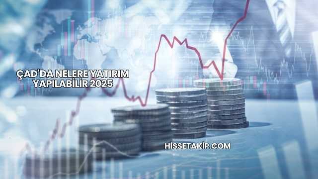 Çad'da Nelere Yatırım Yapılabilir 2025