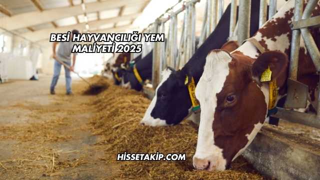 Besi Hayvancılığı Yem Maliyeti 2025