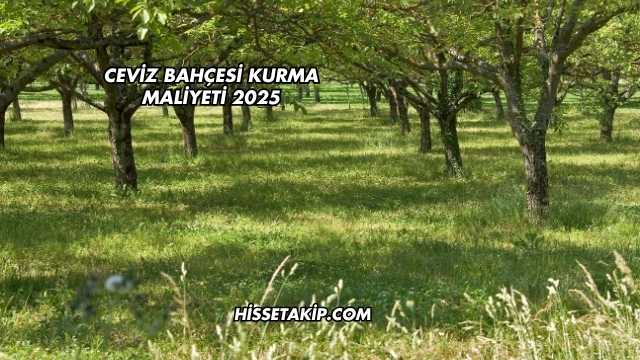Ceviz Bahçesi Kurma Maliyeti 2025