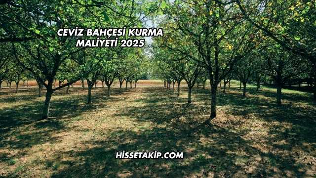 Ceviz Bahçesi Kurma Maliyeti 2025