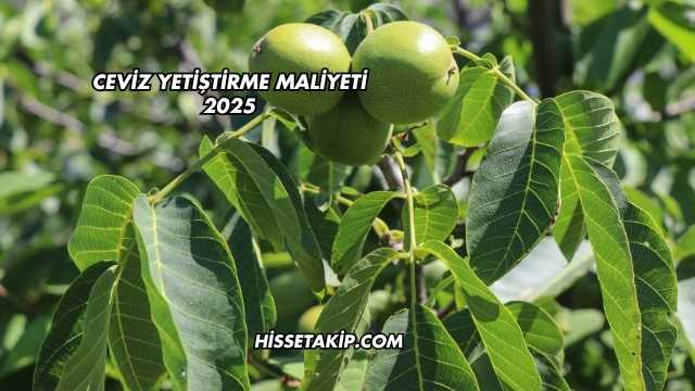Ceviz Yetiştirme Maliyeti 2025