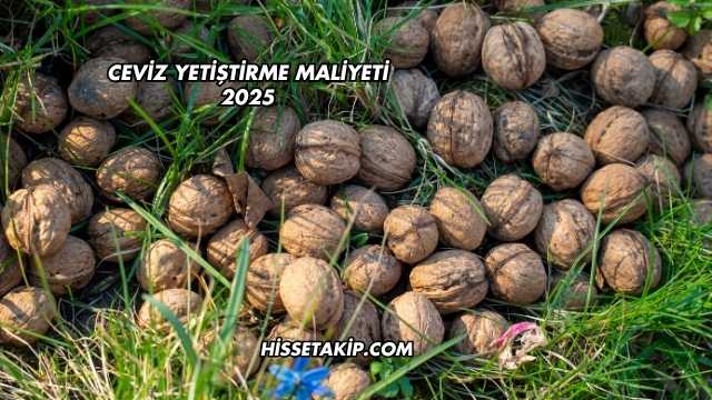Ceviz Yetiştirme Maliyeti 2025