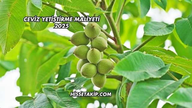 Ceviz Yetiştirme Maliyeti 2025