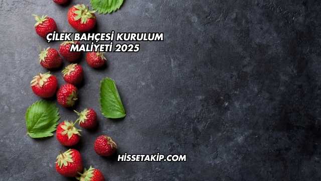 Çilek Bahçesi Kurulum Maliyeti 2025