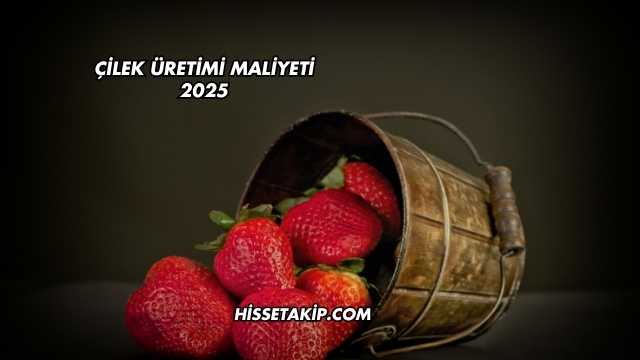 Çilek Üretimi Maliyeti 2025