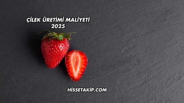 Çilek Üretimi Maliyeti 2025