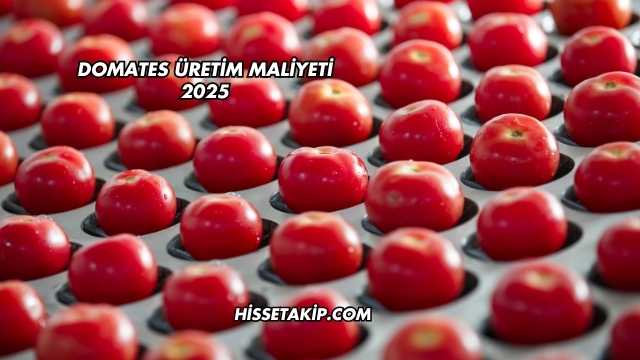 Domates Üretim Maliyeti 2025