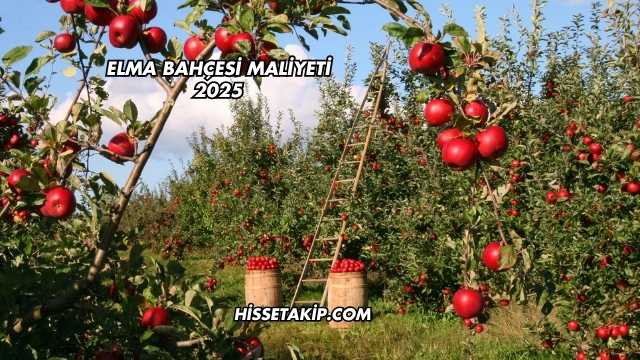Elma Bahçesi Maliyeti 2025