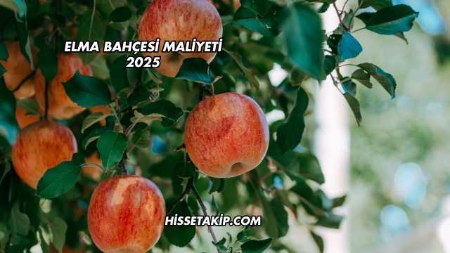 Elma Bahçesi Maliyeti 2025