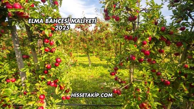 Elma Bahçesi Maliyeti 2025
