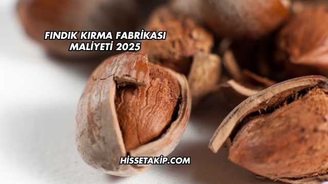 Fındık Kırma Fabrikası Maliyeti 2025