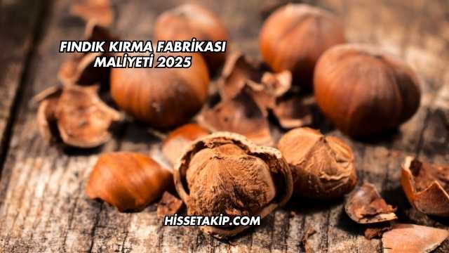Fındık Kırma Fabrikası Maliyeti 2025